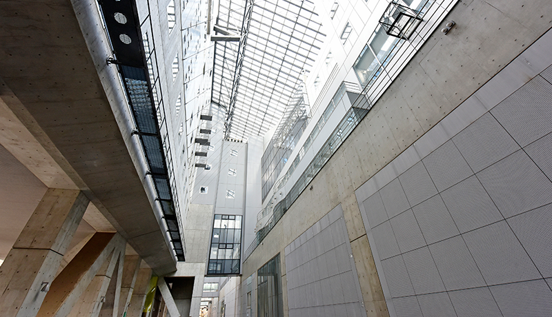 财神app平台下载官网 ただでさえ体調が不安定な井上さんに、仕事は次第に回ってこなくなった